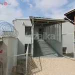 Rent 3 bedroom apartment of 68 m² in Lanškroun