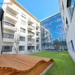 Rent 3 bedroom apartment in Brno