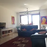 Rent 5 bedroom apartment of 130 m² in Modena