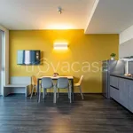 Rent 2 bedroom apartment of 50 m² in Venezia