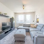 Rent 3 bedroom apartment of 72 m² in Praha