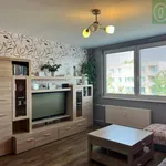 Rent 4 bedroom apartment of 85 m² in Pardubice