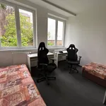 Rent 3 bedroom apartment in Brno