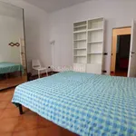 Rent 4 bedroom apartment of 80 m² in Firenze