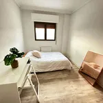 Rent a room in Pamplona