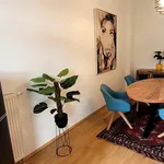 Miete 2 Schlafzimmer wohnung von 45 m² in Dresden