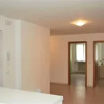 Rent a room in trento