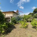 Rent 8 bedroom house of 230 m² in Nicolosi