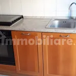 Rent 5 bedroom apartment of 100 m² in Bologna