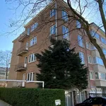 Rent 1 bedroom apartment in brussels