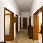 Rent 3 bedroom apartment of 95 m² in Ferrara