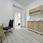 Rent 2 bedroom apartment of 40 m² in Prague