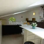 Rent 1 bedroom apartment of 28 m² in Bologna