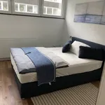 Rent 4 bedroom apartment of 50 m² in Essen