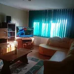 Rent 2 bedroom apartment of 54 m² in Timisoara