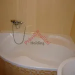 Rent 1 bedroom apartment in Pardubice