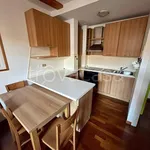 Rent 2 bedroom apartment of 45 m² in Monza