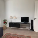 Rent 5 bedroom apartment of 95 m² in Blitsaerd