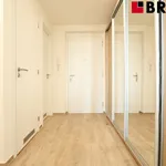 Rent 2 bedroom apartment of 58 m² in Brno