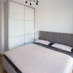 Rent 3 bedroom apartment of 69 m² in Zielona Góra