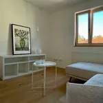 Rent 2 bedroom apartment of 42 m² in Passau