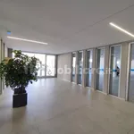 Rent 3 bedroom apartment of 80 m² in Bari