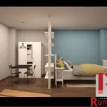 Rent 1 bedroom apartment of 30 m² in Santa Maria Capua Vetere