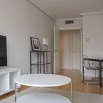 Rent 1 bedroom apartment of 65 m² in madrid