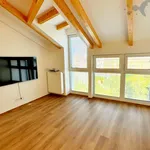 Rent 1 bedroom apartment of 70 m² in Olomouc