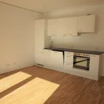 Rent 2 bedroom apartment of 50 m² in Graz