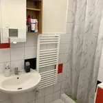 Rent 1 bedroom apartment in Brno venkov