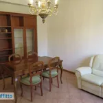 Rent 4 bedroom apartment of 90 m² in Bologna