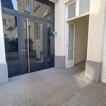 Appartement de 250 m² avec 9 chambre(s) en location à Brussels