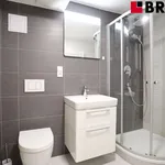 Rent 1 bedroom apartment of 50 m² in Brno