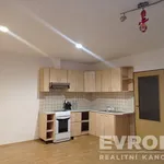 Rent 1 bedroom apartment of 40 m² in Liberec