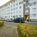 Wohnung über 50 m² in Dresden