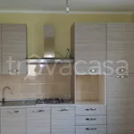 Rent 3 bedroom apartment of 70 m² in Frosinone