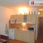 Rent 1 bedroom apartment in Karlovy Vary