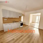 Rent 3 bedroom apartment of 49 m² in Havířov