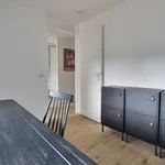 Rent 3 bedroom apartment of 90 m² in AMSTERDAM