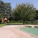 Rent 5 bedroom house of 773 m² in Roma