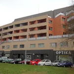 Pronajměte si 2 ložnic/e byt o rozloze 65 m² v  ulice Hybešova