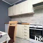 Rent 2 bedroom apartment of 55 m² in Olsztyn