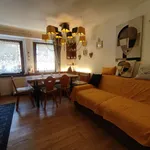 Rent 3 bedroom apartment of 82 m² in Tarvisio