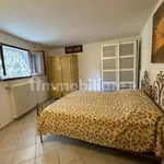 Rent 3 bedroom apartment of 87 m² in Bologna