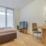 Pronajměte si 1 ložnic/e byt o rozloze 35 m² v Prague