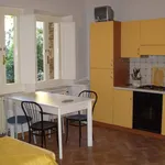 Rent 1 bedroom apartment of 28 m² in Siena