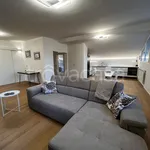 Rent 2 bedroom apartment of 60 m² in Reggio nell'Emilia