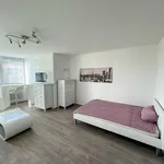 Rent 2 bedroom apartment of 28 m² in Munich