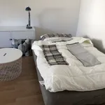 Miete 1 Schlafzimmer wohnung von 25 m² in Frankfurt